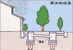 初期雨水收集為什么這么重要？